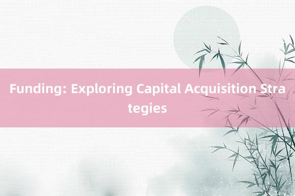 Funding: Exploring Capital Acquisition Strategies