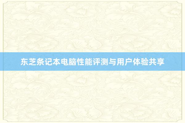 东芝条记本电脑性能评测与用户体验共享